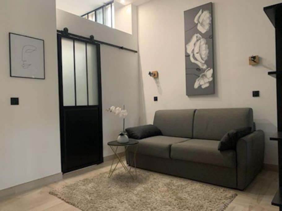 Studio Loft 40M2 De Charme Perpignan Kültér fotó